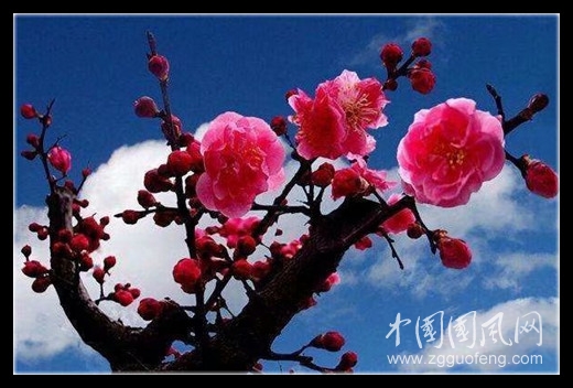 psc (12)_副本.jpg