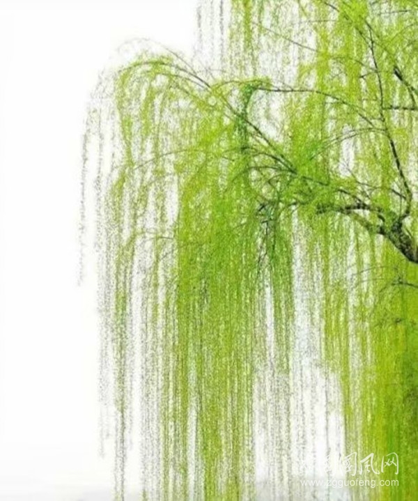 psc (8)_副本.jpg