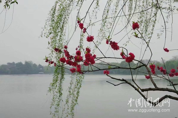 psc (5)_副本.jpg