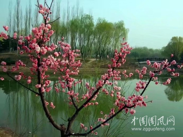 psc (6)_副本.jpg