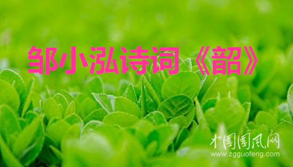 5e8c1aacebf9dd0cdfb6eacb98c37ef_副本.png