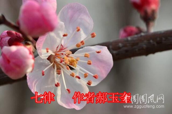 54440015228baea9aa05_副本.jpg
