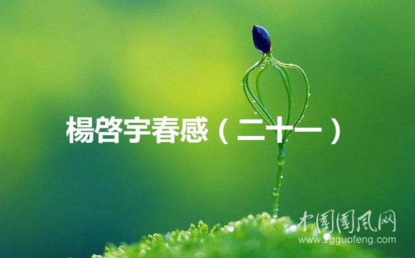 timg (1)_副本_副本.jpg