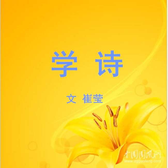 timg (2)_副本.jpg