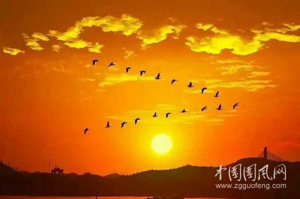 QQ图片20200912150722_副本.jpg