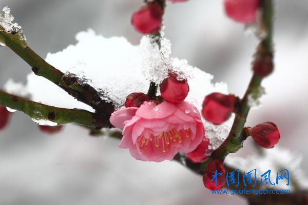 src=http___5b0988e595225.cdn.sohucs.com_images_20190808_041c36a1c0ce4a4b8bae9973374fc5f6.jpeg&refer=http___5b0988e595225.cdn.sohucs.jpg