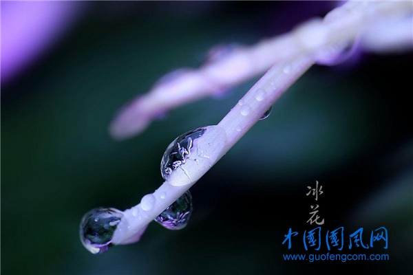 src=http___img.pconline.com.cn_images_upload_upc_tx_photoblog_1612_01_c14_31068267_1480600836035.jpg&refer=http___img.pconline.com.jpg