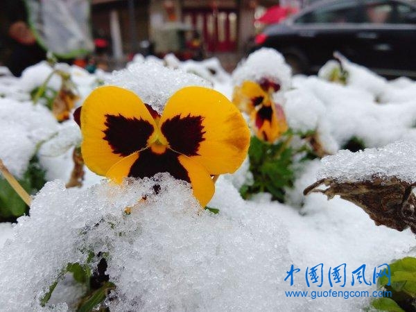 src=http___stc-new.8531.cn_assets_20190113_1547350585735_5c3ab239159bb82a0fcb8904.jpeg&refer=http___stc-new.8531.jpg