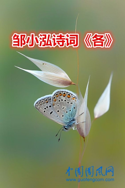 蝴蝶3_副本.jpg