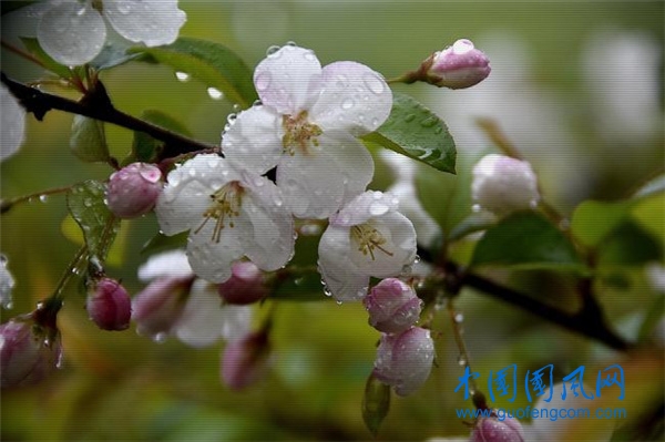 src=http___www.china5080.com_albumphoto_pid=1490744&refer=http___www.china5080.jpg