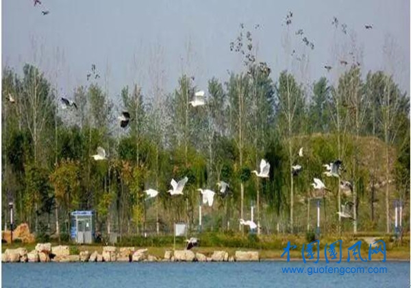 src=http___5b0988e595225.cdn.sohucs.com_images_20170916_3080a878a3a8418bbb71367f6cca3f50.jpeg&refer=http___5b0988e595225.cdn.sohucs.jpg