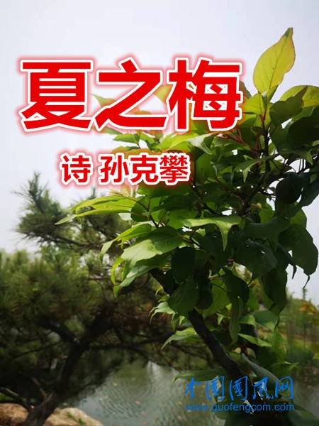 fa5b6d03e9c05cb397ddc38ce68c518_副本.jpg