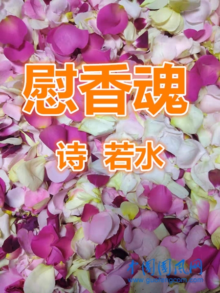 de6e6ea8772f263610ce228d52c84ac_副本.jpg