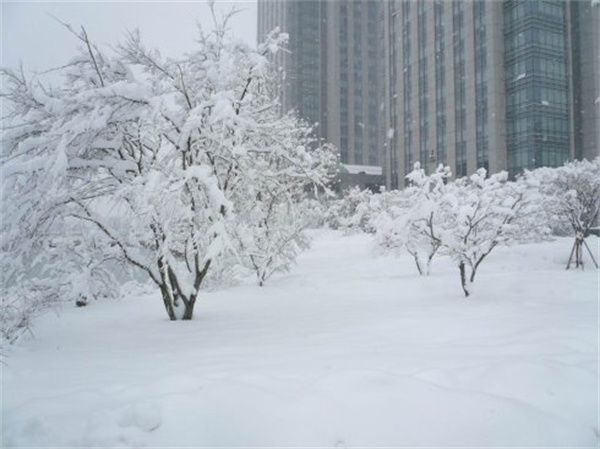 src=http___pic1.zhimg.com_v2-d48f507beecbbdc18f222ca292fc5596_1440w.jpg_source=172ae18b&refer=http___pic1.zhimg.jpg