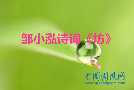 6923860_39_副本.jpg