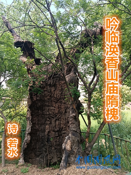 微信图片_20220424232804.jpg