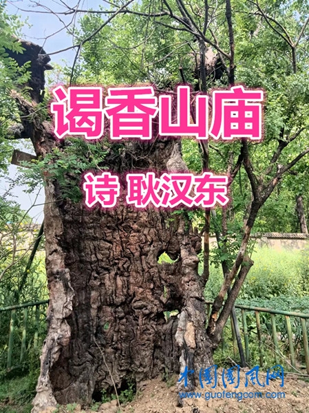 be89cee29633189163073539dd7246d_副本.jpg