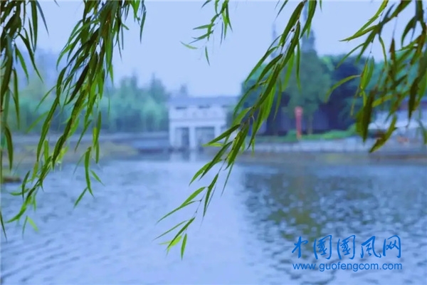 夏风.webp.jpg