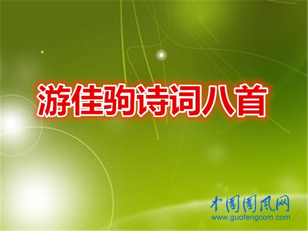 41_副本_副本.jpg