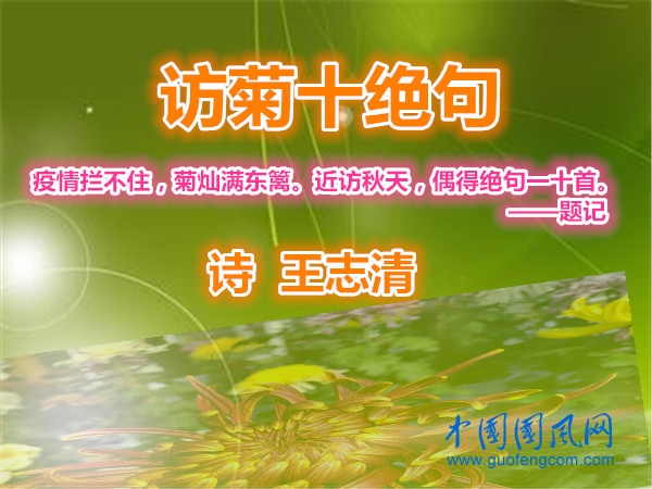 41_副本_副本.jpg
