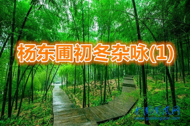 2121.webp_副本.jpg