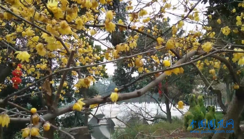 微信图片_20221223102520.jpg