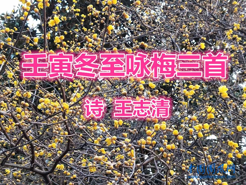 微信图片_20221223102457.jpg