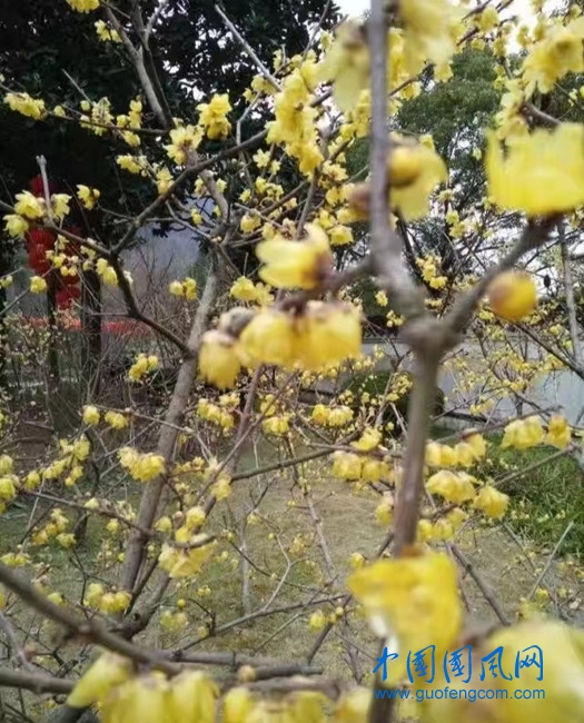 微信图片_20221223102524.jpg