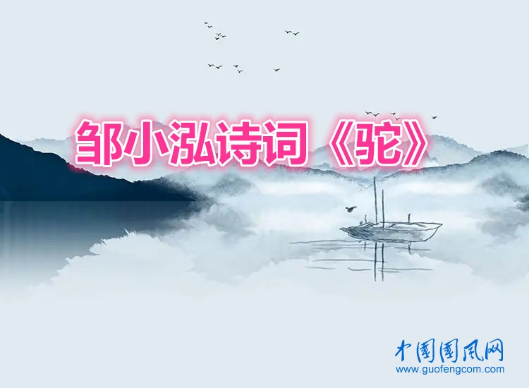 3333.webp_副本.jpg