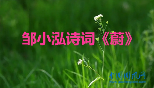 chun4.webp_副本.jpg