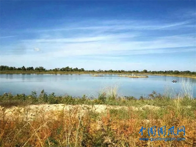 盐池哈巴湖草地.webp.jpg