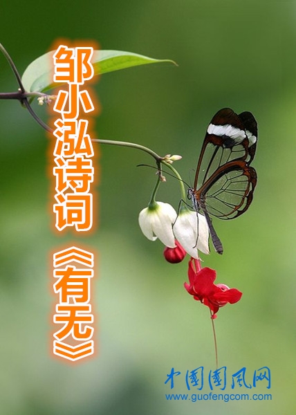 蝴蝶5_副本.jpg