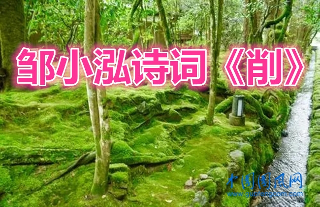 2020.webp_副本.jpg