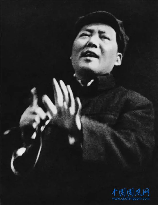 毛2.webp.jpg