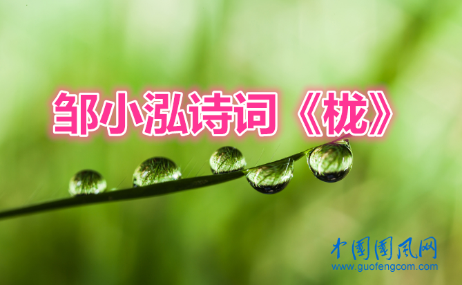 3ae5e8d99c66e8b01c860dc6ee0dab0_副本.png