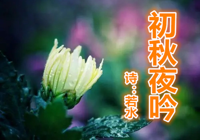 初jv.webp.jpg