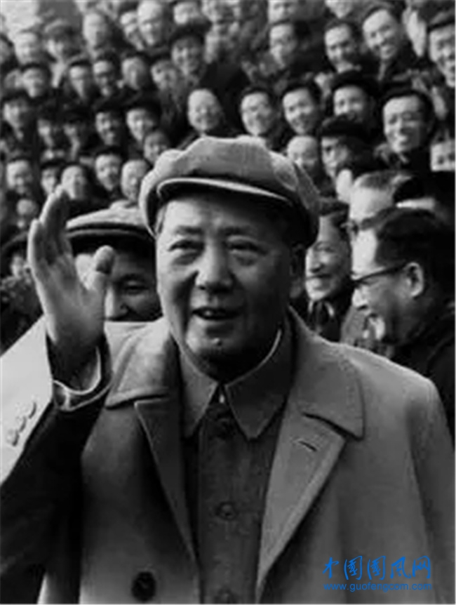 毛1.webp.jpg