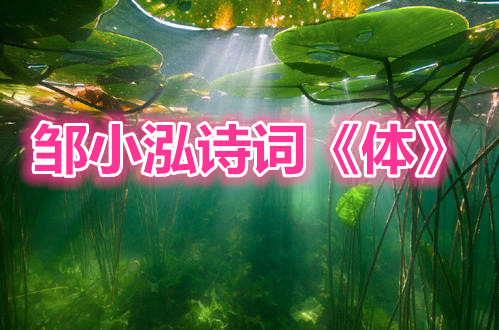 u=320869982,871992349&fm=11&gp=0_副本.jpg