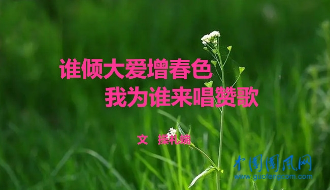 chun4.webp_副本.jpg