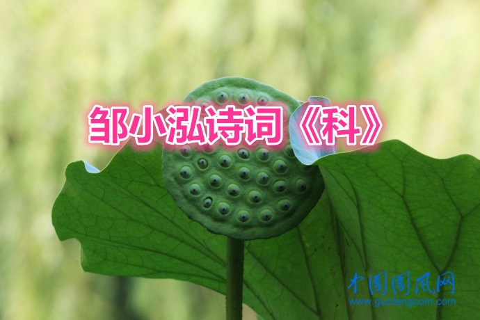 001z0t0Rzy6L8nNQ8Xk8e&690_副本.jpg