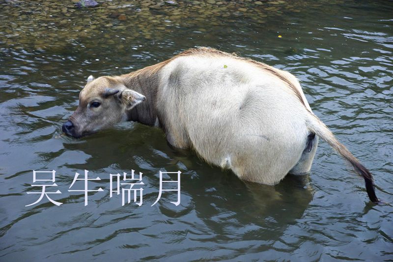 32323_副本.jpg