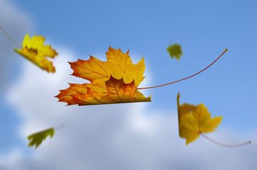 《求真务 实 拓 通 途》                                                   ——为金石《纪录片写作研究》序