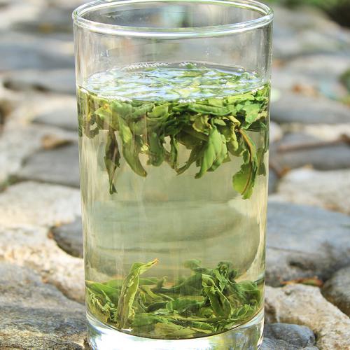 多喝绿茶有防癌作用 多喝绿茶有防癌作用