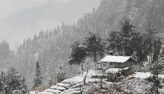 山中杂诗