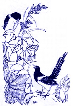 20080110_010