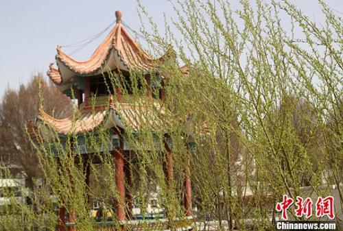资料图。张建学摄 点击进入下一页