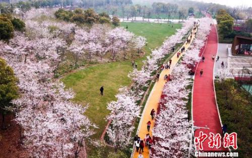 资料图:游人赏花,感受春天的气息。 马刚摄 点击进入下一页