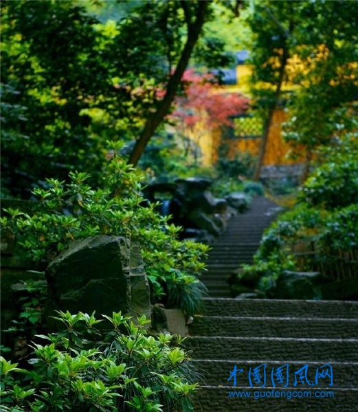 禅房花木深.jpg