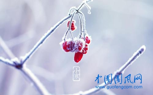 u=940065901,3095001191&fm=26&gp=0.jpg