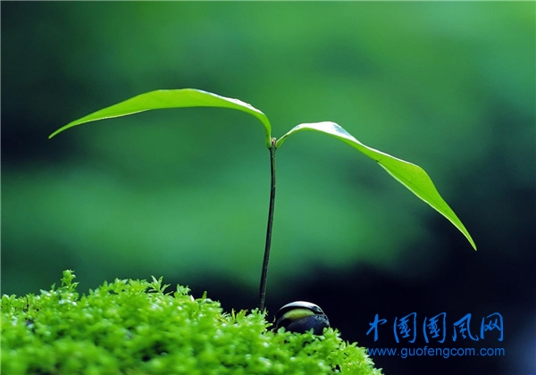 src=http___pic4.zhimg.com_v2-f3d74eb5b683bb19423d4a92bef0831a_1440w.jpg_source=172ae18b&refer=http___pic4.zhimg.jpg